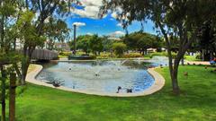 Ducks Fountains Parks