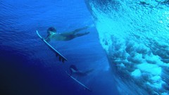 Ducks Hawaii diving daffy duck dive ball