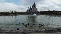 Ducks lakes Castles sunay