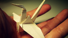 Ducks origami