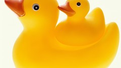 Ducks rubber ducks