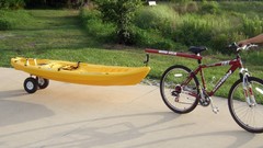 Dumb stick side view