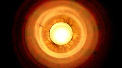 Dump all Your please