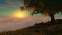 Dump Your Mom! worldsedge