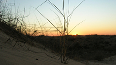 Dunes sunset sand desert