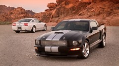 Dusk rocks GT muscle cars Ford Shelby