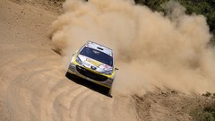 Dust cars Peugeot Italy Offroad rally races vehicles gravel 