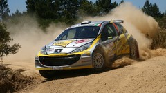 Dust cars Peugeot Offroad rally races vehicles gravel racing 