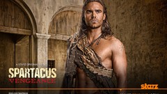 Dustin Clare Spartacus Vengeance