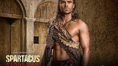 Dustin Clare Spartacus Vengeance