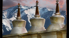 Dwelling minds forever high