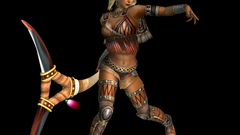 Dynasty warriors zhu rong