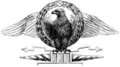 Eagle Army roman spqr contribute