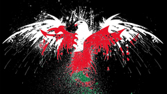 Eagle flag high wales welsh Resolution