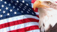 Eagle Flags USA World
