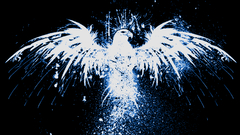 Eagle here are bit darker Made