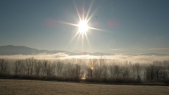 Eagle high res jan Resolution majsetic