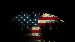 Eagles American Flag Redneck