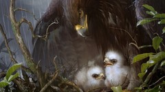 Eagles artwork