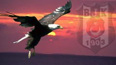 Eagles besiktas BJK