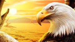 Eagles deserts Biutiful (movie)
