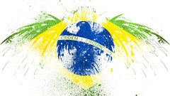 Eagles Flags Brazil World