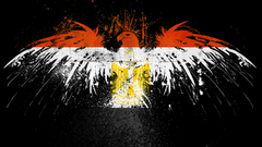 Eagles Flags Egypt