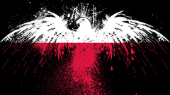 Eagles Flags Polish Poland