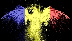 Eagles Flags romania
