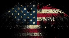 Eagles Flags USA Redneck