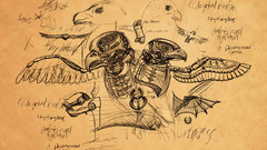 Eagles illustrations Art