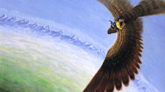 Eagles The Hobbit JRR