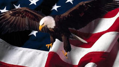 Eagles USA American Flag