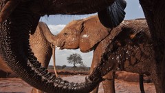 Earth national geographic