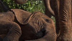 Earth national geographic