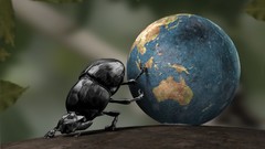 Earth rolls dung beetle