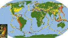 Earthquake monster high Animals