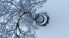 Earthtree Favorite high