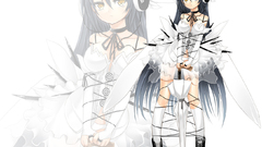 Ecchi animal ears Anime