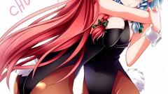 Ecchi huge boobs cover art