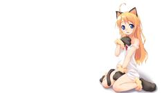 Ecchi nekomimi animal ears