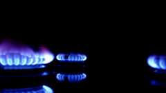 Economy in practise by