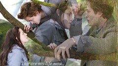 Edward cullen Bella Swan