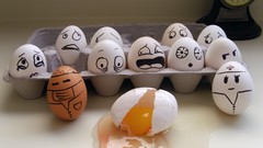 Eggs broken funny emotions falling