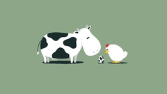 Eggs chicken illustrations Cows
