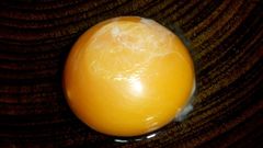 Eggs egg yolk