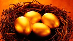 Eggs nest golden