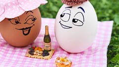 Eggs picnic funny