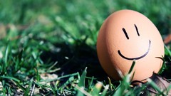 Eggs smiley smiling
