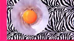 Eggs zebras zebra stripes